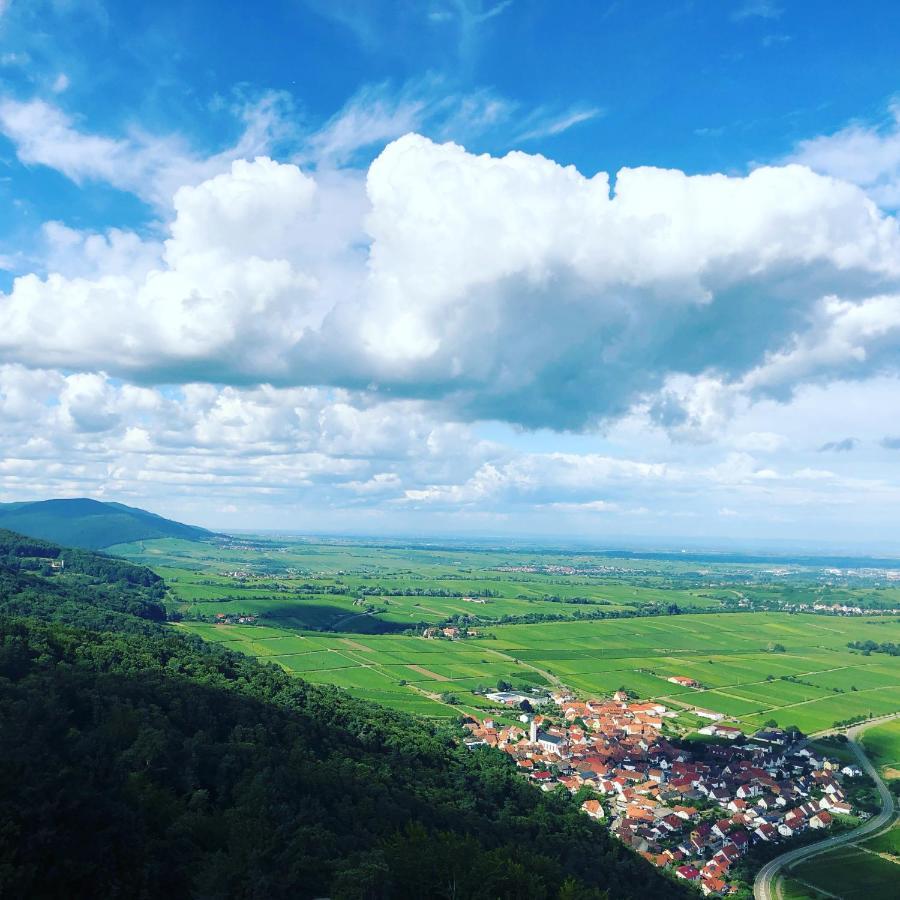 Suedpfalz Mit Fernblick Apartment *